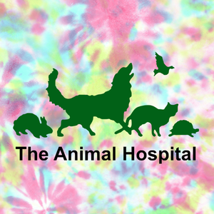 Team Page: The Animal Hospital 